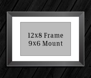 12in x 8in Frame (9in x 6in Mount) with Full Photo design