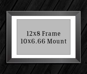 12in x 8in Frame (10in x 6.66in Mount) with Full Photo design