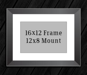 16in x 12in Frame (12in x 8in Mount) with Full Photo design