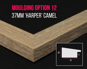 Thumbnail for 1500x1196 - ProductImages_FrameMould_L2734_37mm_HarperCamel.png 12