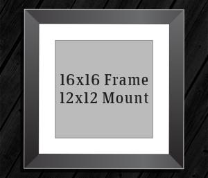  16in x 16in Frame (12in x 12in Mount) with Full Photo design